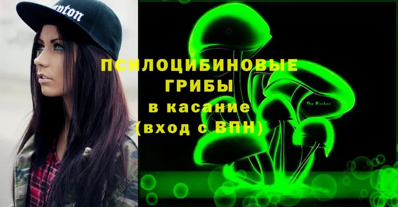 Псилоцибиновые грибы Magic Shrooms  Советск 